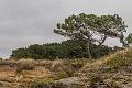 2019_09_11_Bretagne (0066)